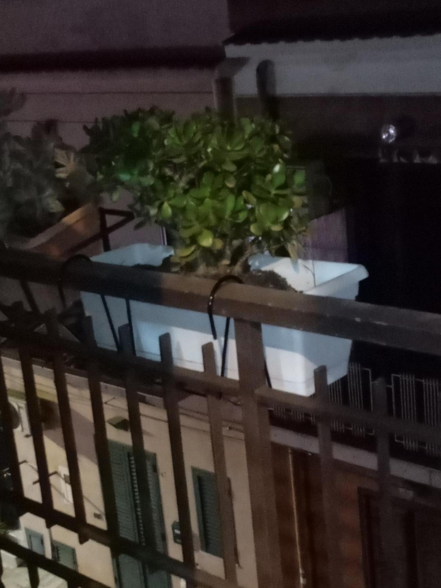 Casa Alice Hotel Isola delle Femmine Ngoại thất bức ảnh